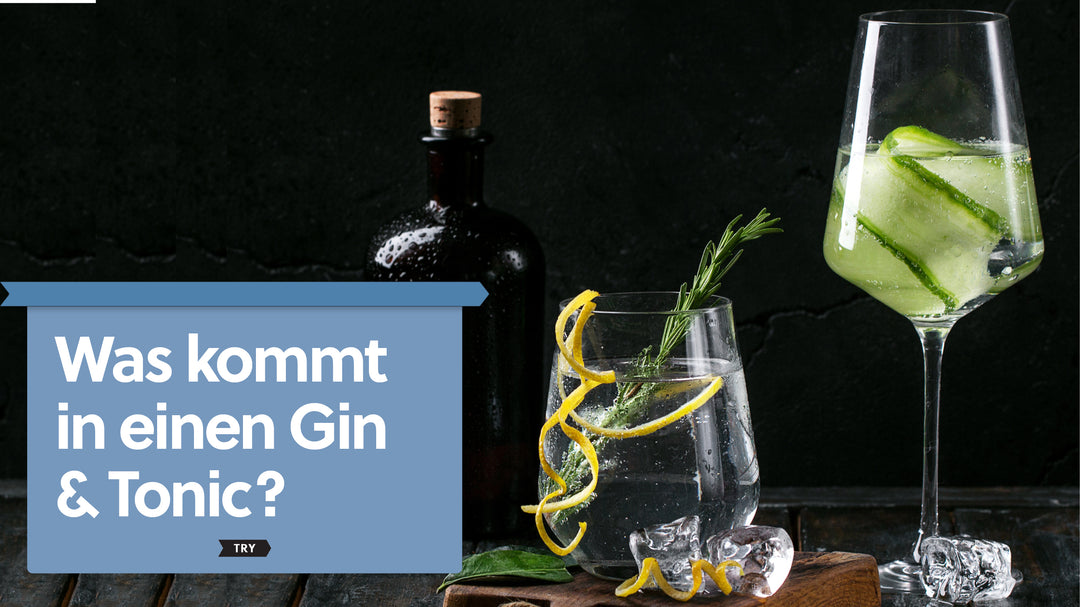 Was passt zu einem Gin & Tonic? Welche Garnitur sollte ich nehmen?