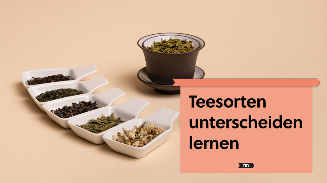 Im Video: Teesorten unterscheiden